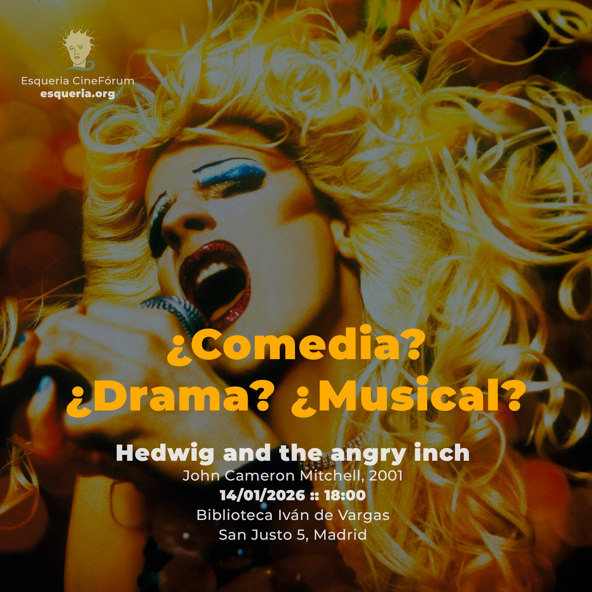hedwig_3